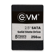 256GB EVM SSD Hard disk (3 yrs warranty)