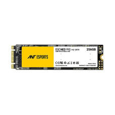 256GB Ant Esports 690 Neo pro m.2 internal SSD Hard disk (3 yrs warranty)