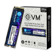 256GB M.2 EVM SSD Hard disk (3 yrs warranty)