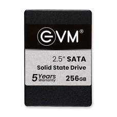 256GB SSD M.2 Internal Hard Disk 25 EVM (5yrs Warranty)