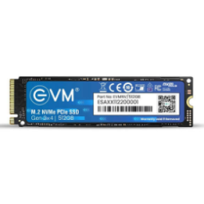 EVM 512GB NVMe Gen3 SSD