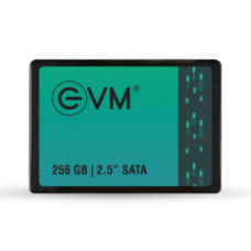 EVM 256GB SATA SSD