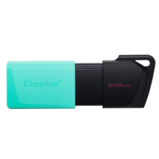 Kingston DataTraveler Exodia M 256GB Pen Drive